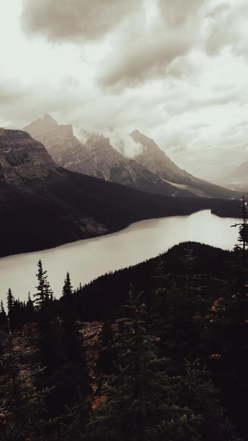 Du Lac Louise au Lac Peyto